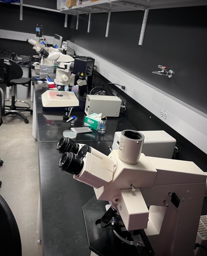 microscope