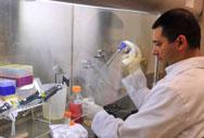 researcher in laboratory